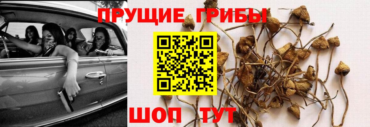 цена наркотик  Вход с VPN  Долгопрудный  Псилоцибиновые грибы ЛСД 